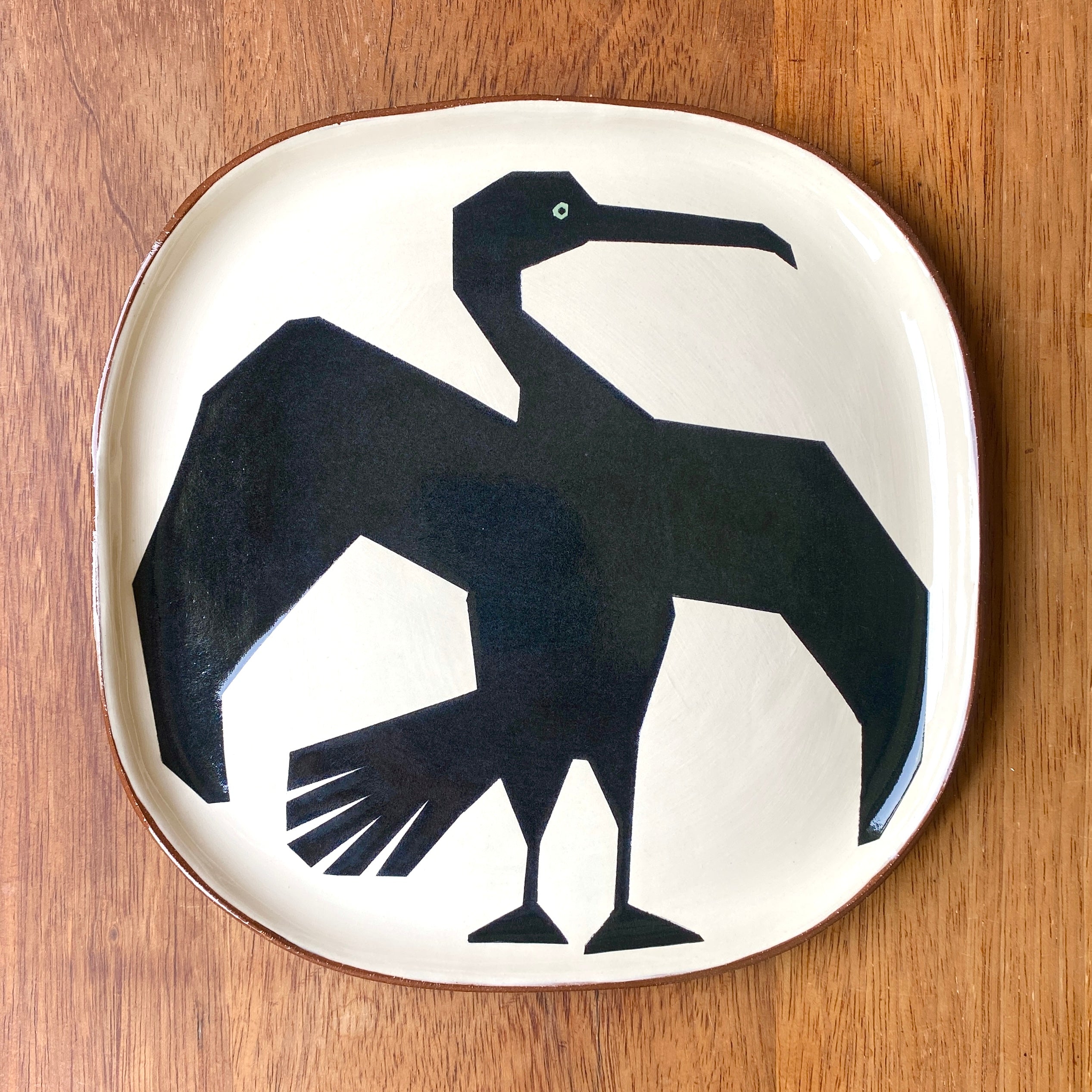 Big cormorant